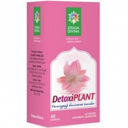 Detoxiplant Capsule pentru detoxifierea organismului